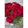 Саженец чайно-гибридной розы Секси Рэд (Sexy red): фото и описание