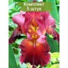 Саженцы ириса Даски (Dusky) - 5 шт.: фото и описание